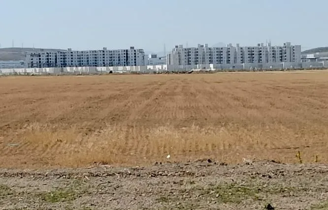 الفجة terrain unique