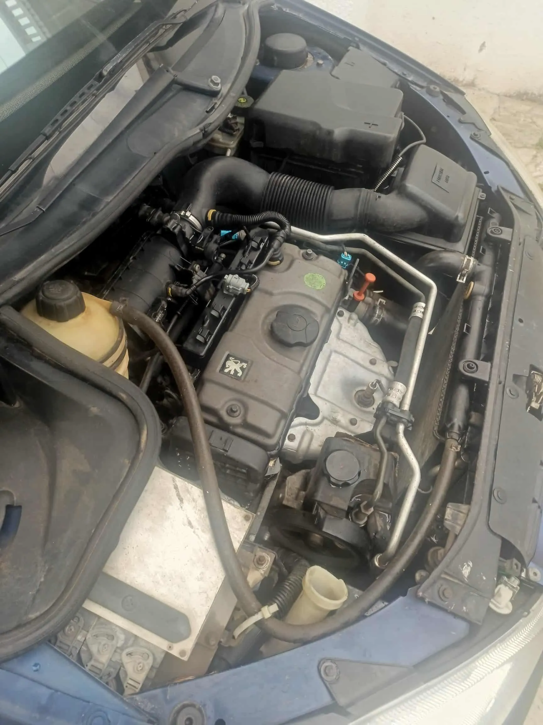 Peugeot bien entretenue
