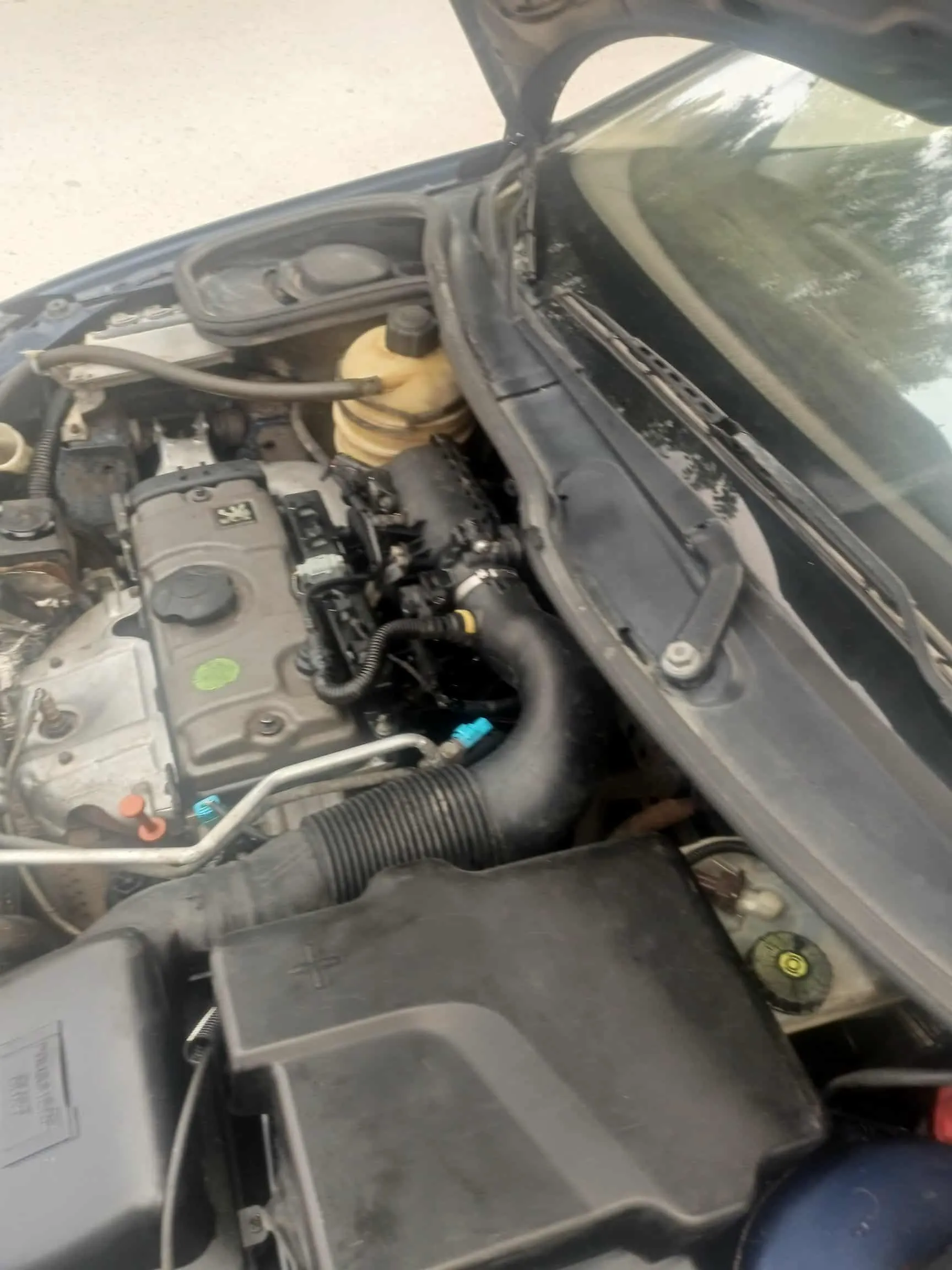Peugeot bien entretenue