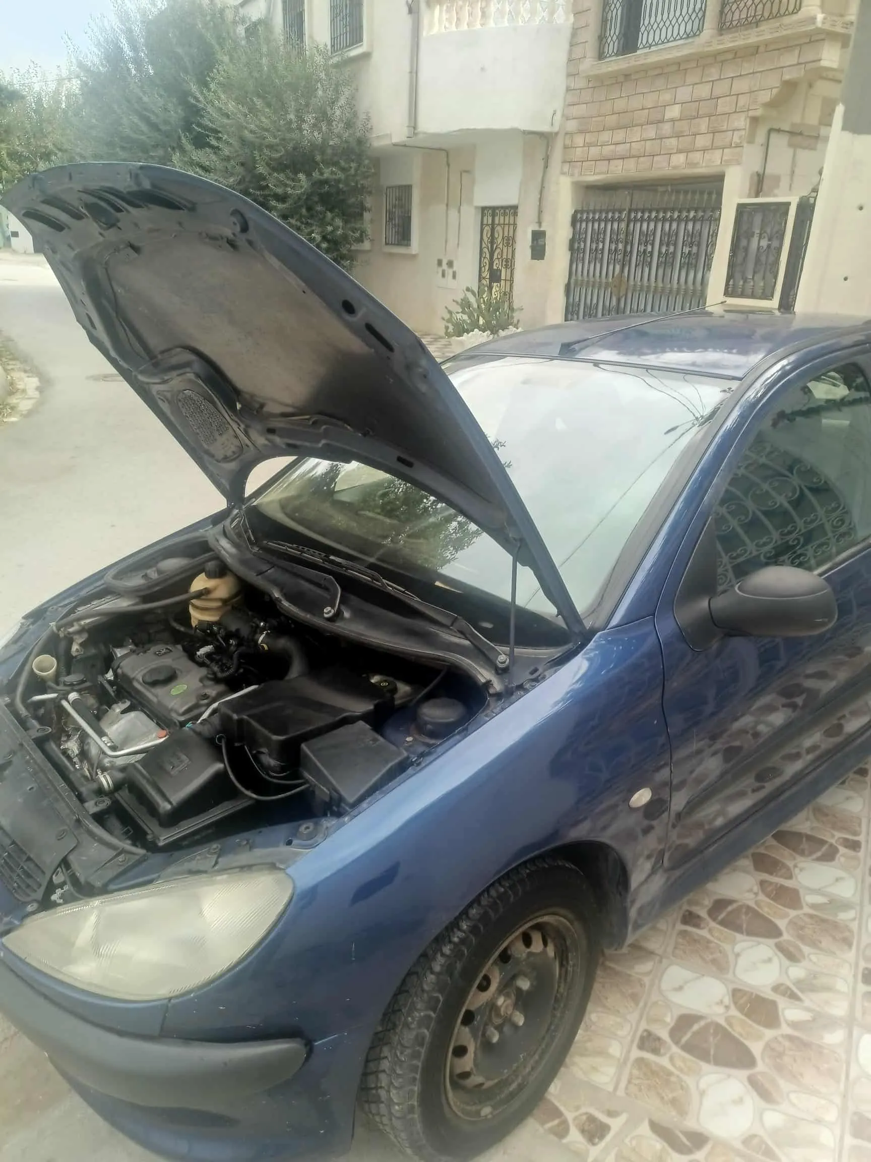 Peugeot bien entretenue