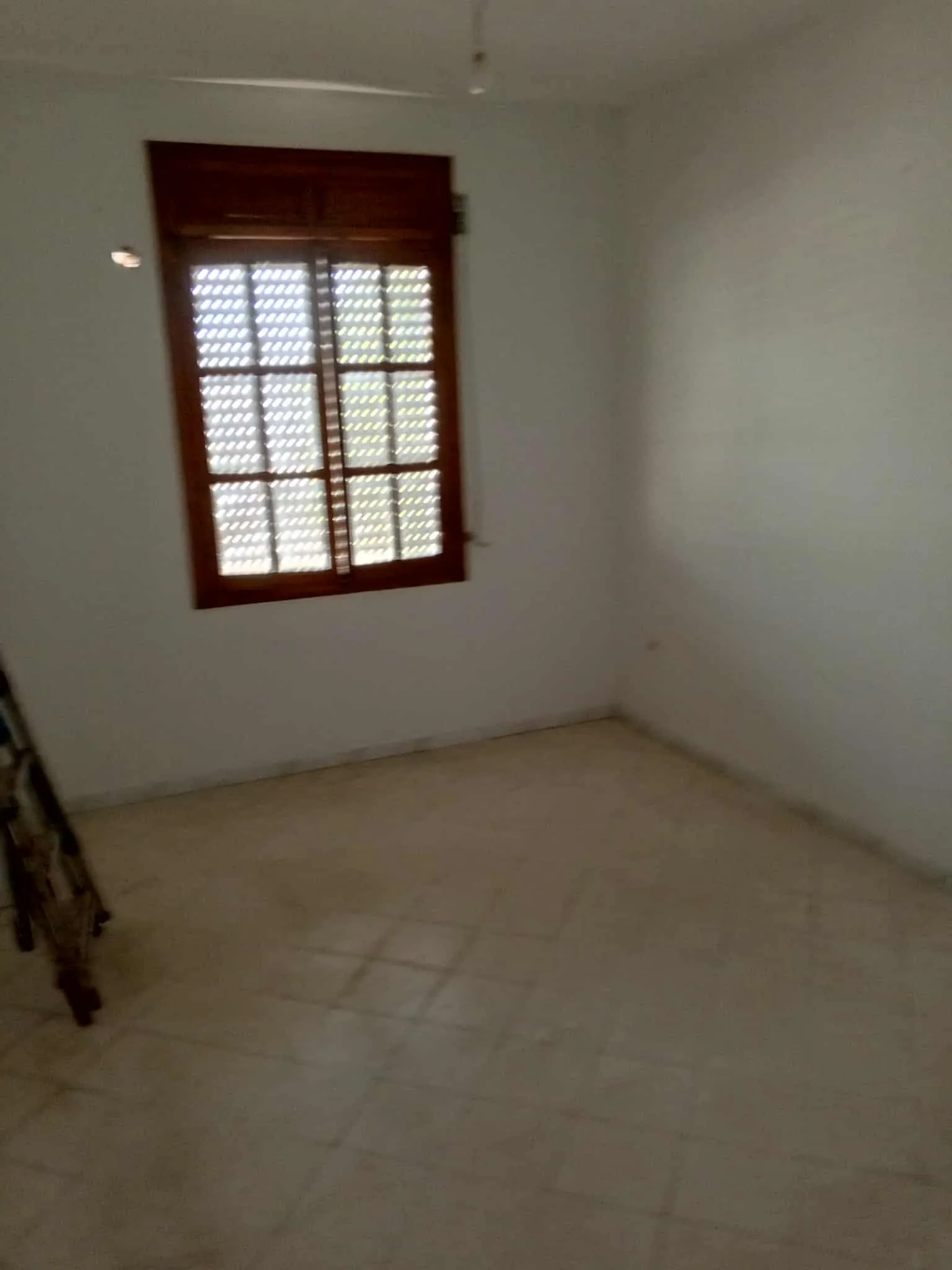 appartement s+2