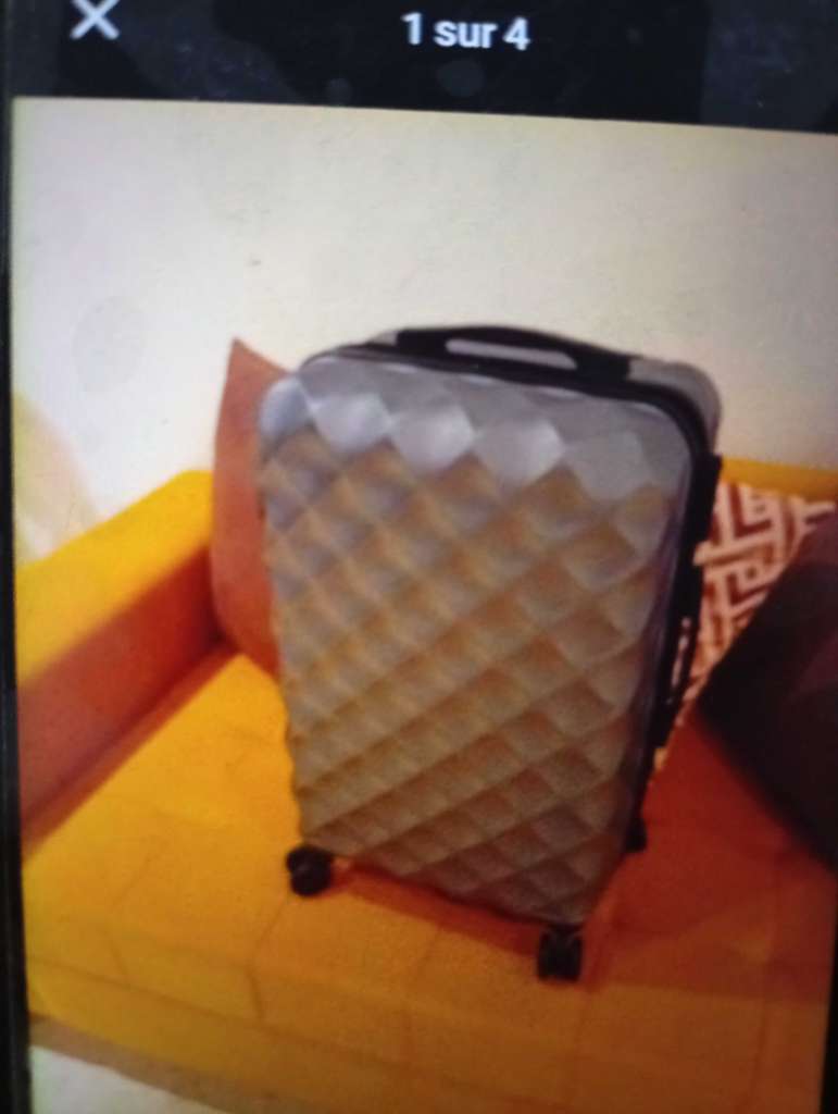 Valise cabine