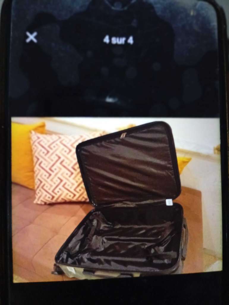 Valise cabine