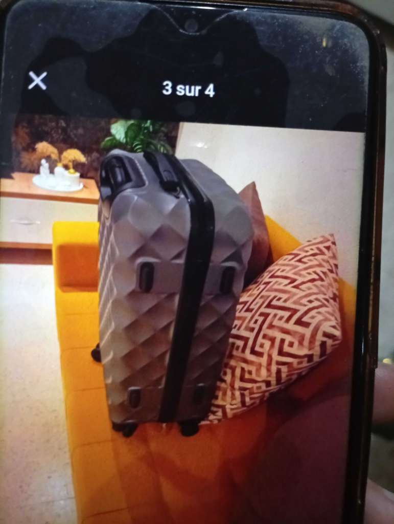 Valise cabine