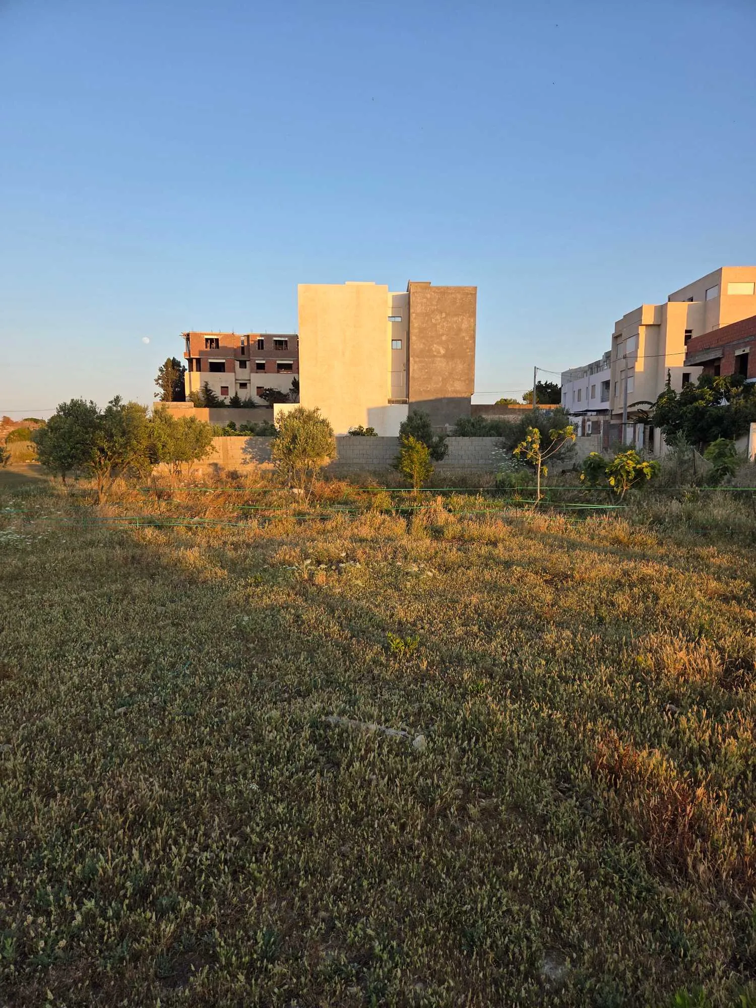 Vente Terrain constructible à Kélibia Mansoura Petit Paris