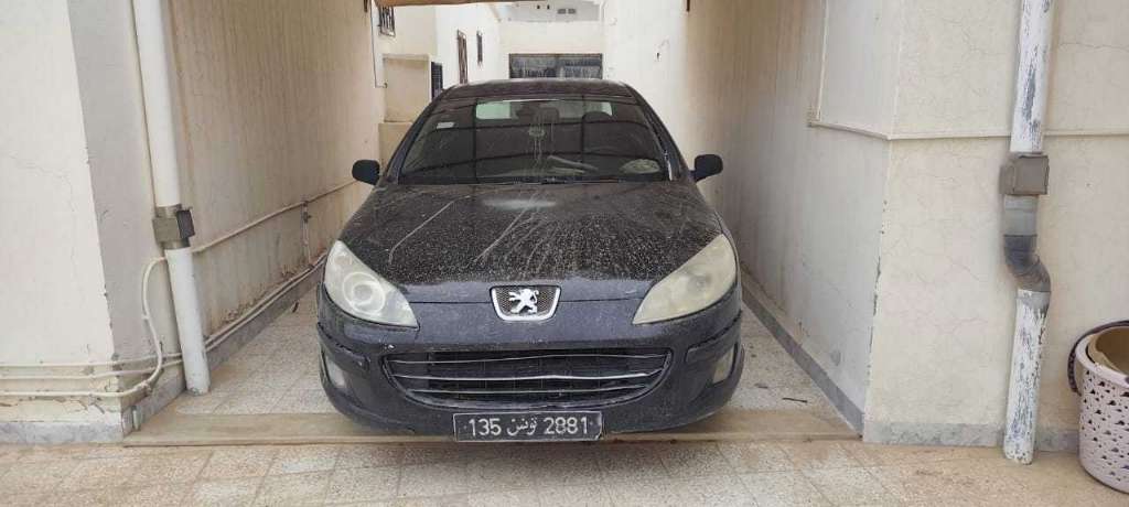 Peugeot 407 bonne occasion 