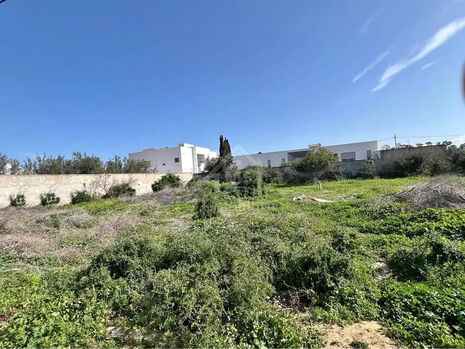 Un terrain de 650 m² dans la zone de Sidi Mahressi à vendre 51355351