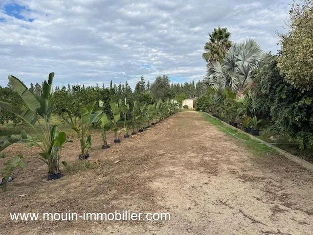 FERME BENI KHALLED 2 Beni Khalled T1225