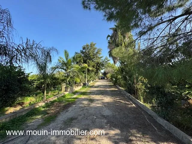 FERME BENI KHALLED 2 Beni Khalled T1225