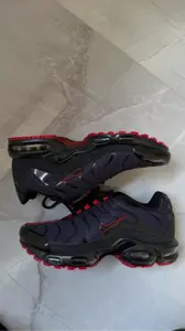 Nike Air Max Plus TN Noir/Rouge – Excellent état