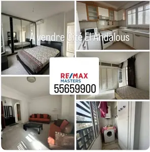 À vendre un S3 à Riadh landalous