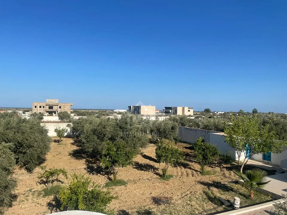Une grande propriété à Hammamet Sud à vendre 51355351