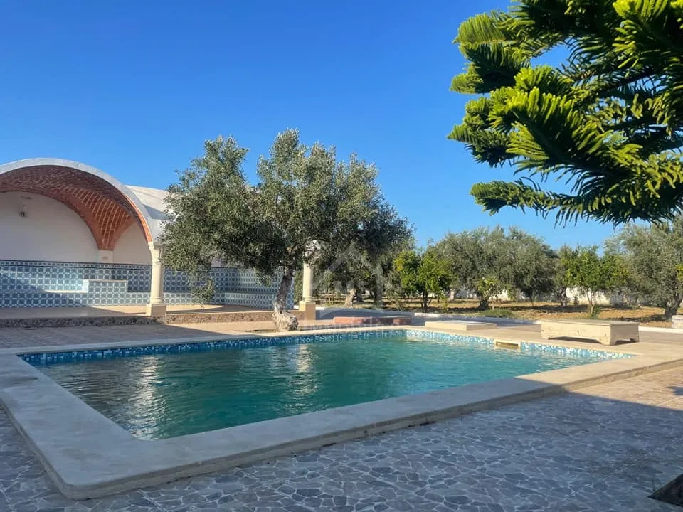 Une grande propriété à Hammamet Sud à vendre 51355351