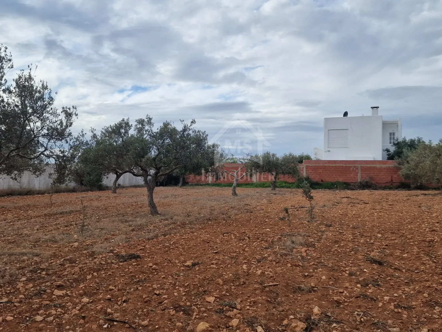 Terrain vue de mer de 2000 m² à Daroufa à vendre 51355351