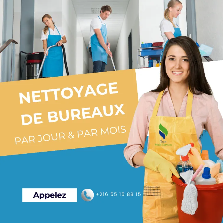 femme pour simple ménage a elmanar