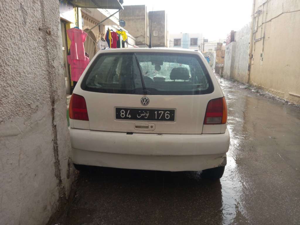 Polo 3 