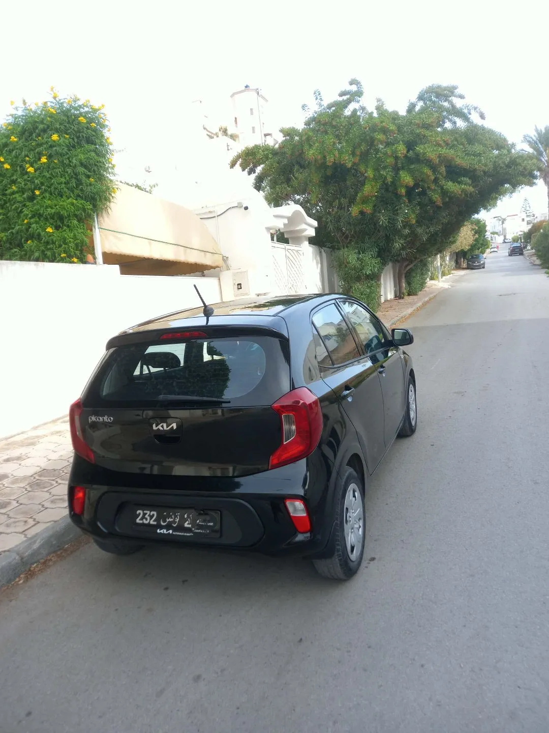 Picanto Comme Neuf