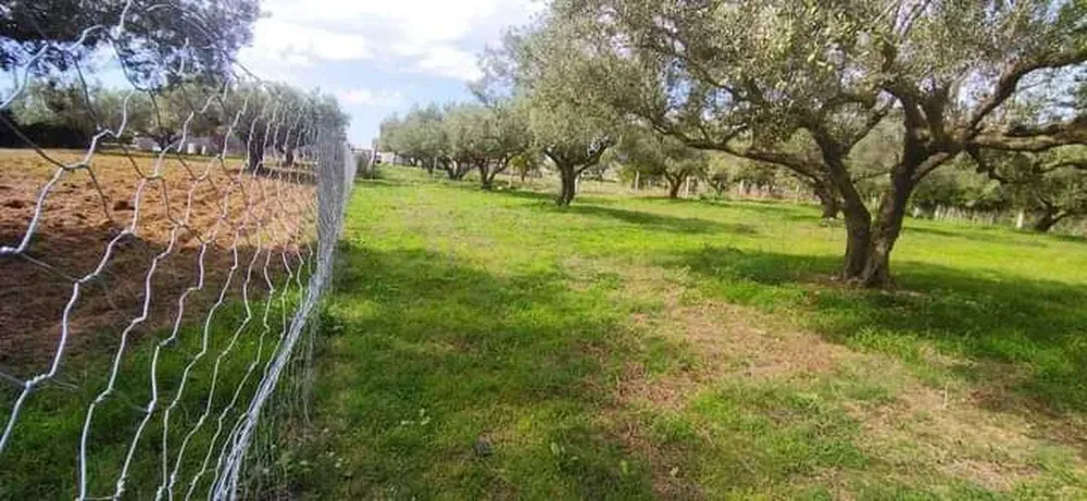 Terrain&nbsp;à&nbsp;el&nbsp;Garia&nbsp;bizerte