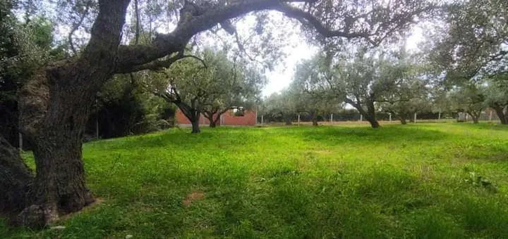 Terrain&nbsp;à&nbsp;el&nbsp;Garia&nbsp;bizerte