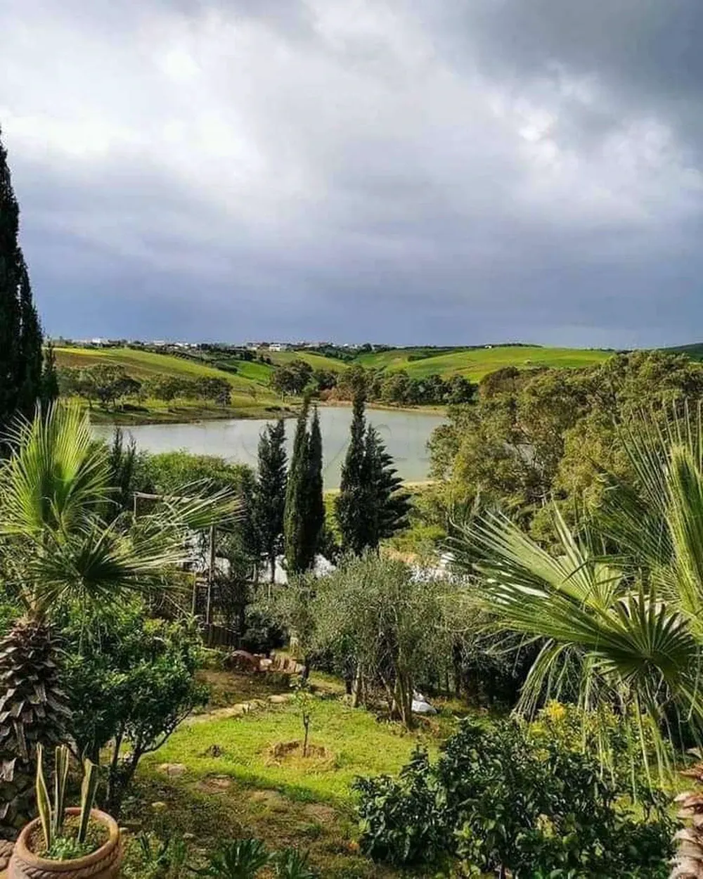 Terrain&nbsp;à&nbsp;el&nbsp;Garia&nbsp;bizerte