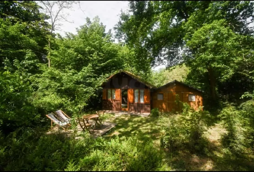 Terrain à partir de 10 000 m² Pour Les investisseurs