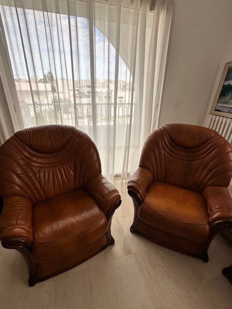 Salon cuir marrons 7 places