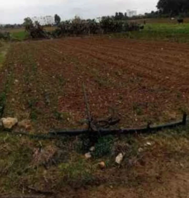 أرض للبيع قريبة من البحر في دار علوش إبتداء من 150m² 