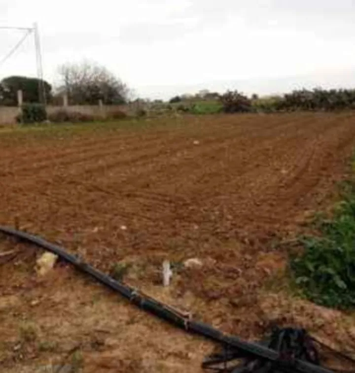 أرض للبيع قريبة من البحر في دار علوش إبتداء من 150m² 