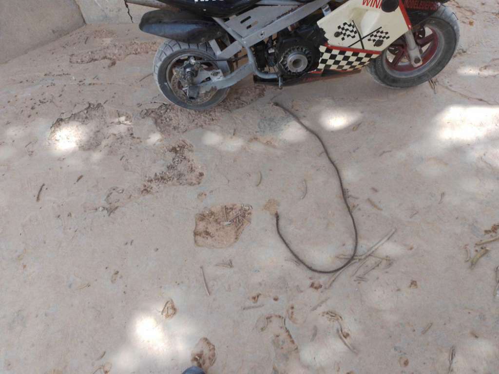 Moto