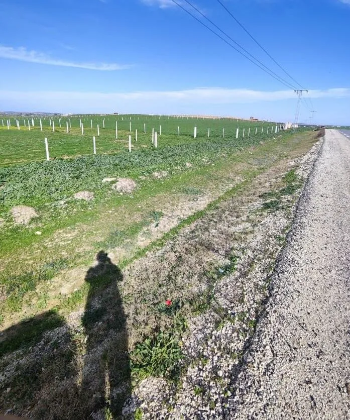 صبغة سكنية الفجة - منوبة