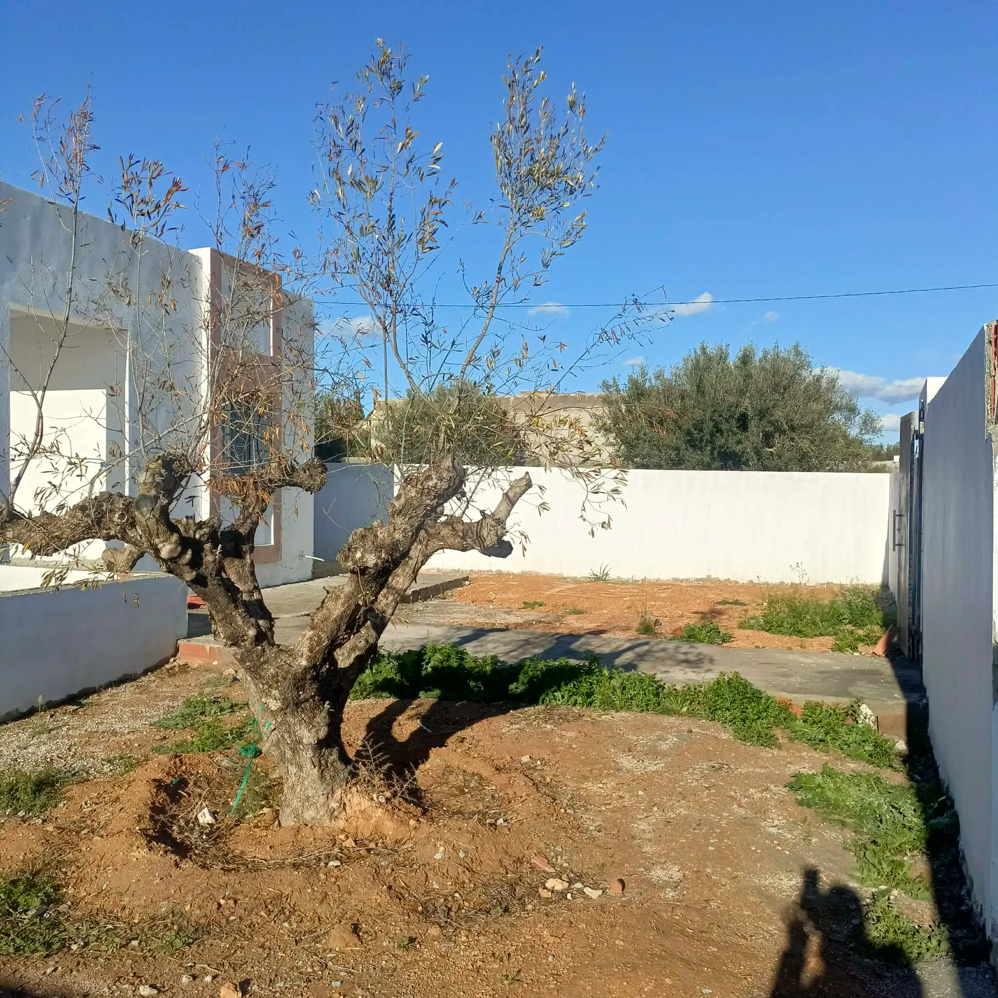 AV villa non fini de 400m terrain proche yasmine hammamet 