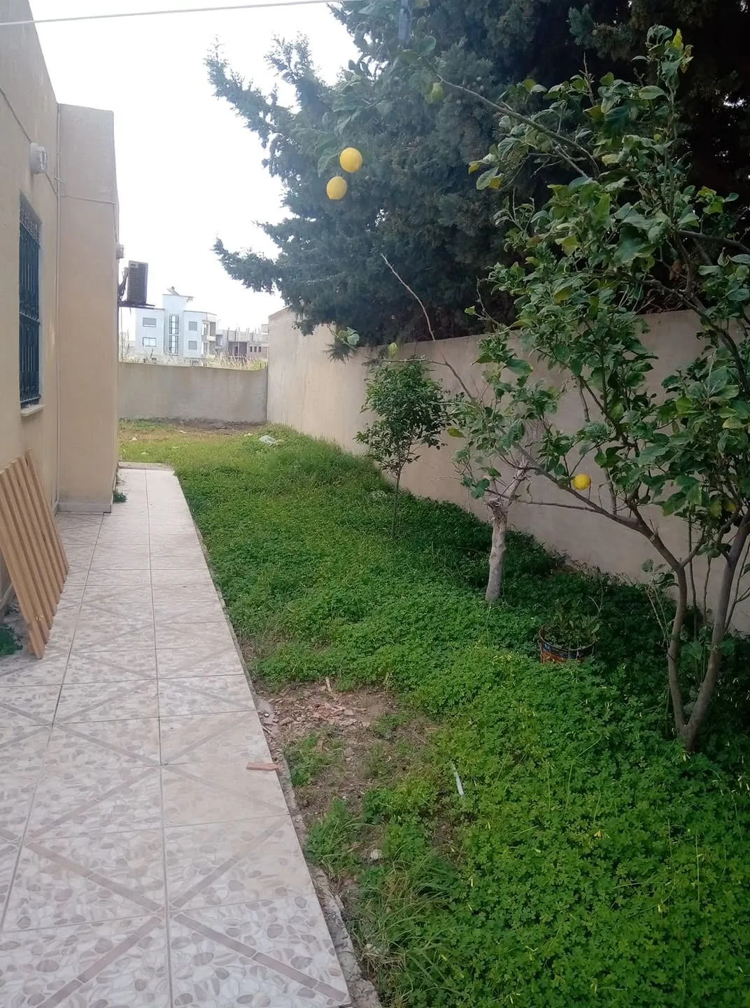 Une magnifique maison pour location de vacances avec un grand jardin à corniche Bizerte