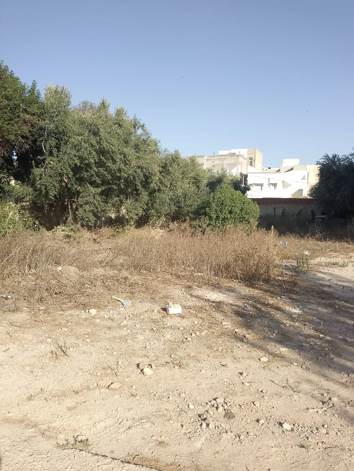 đ§Terrain Constructible De 1000mÂČ En Vente | Chott Mariem