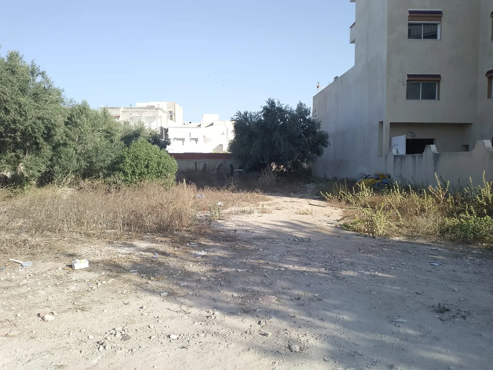 đ§Terrain Constructible De 1000mÂČ En Vente | Chott Mariem