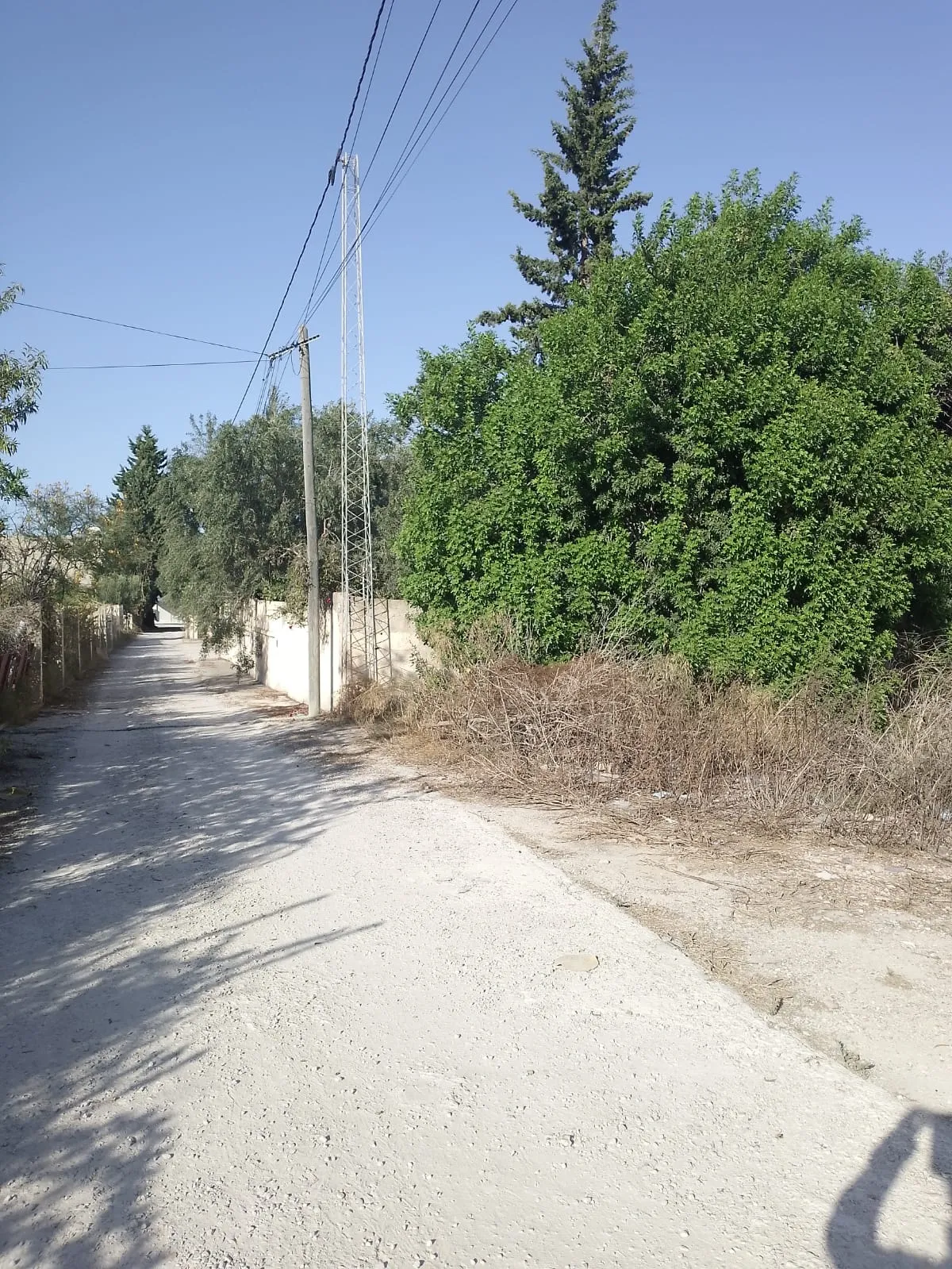 đ§Terrain Constructible De 1000mÂČ En Vente | Chott Mariem