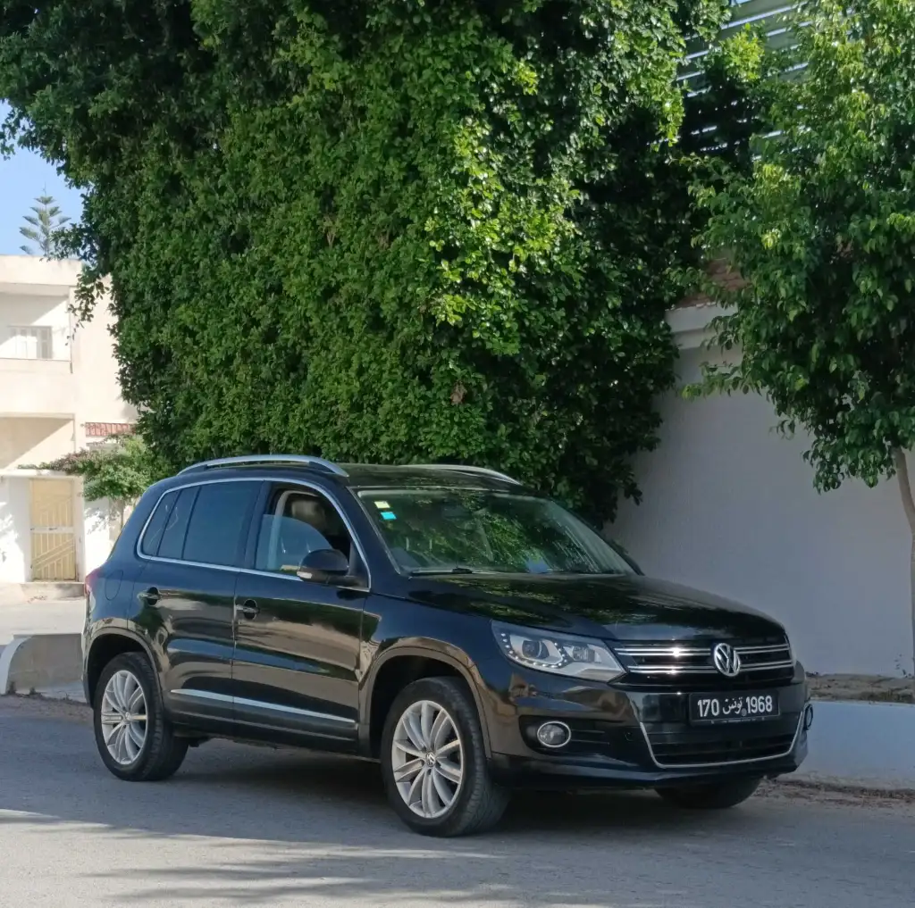 Volkswagen Tiguan 2.0 TDI 4 Motion