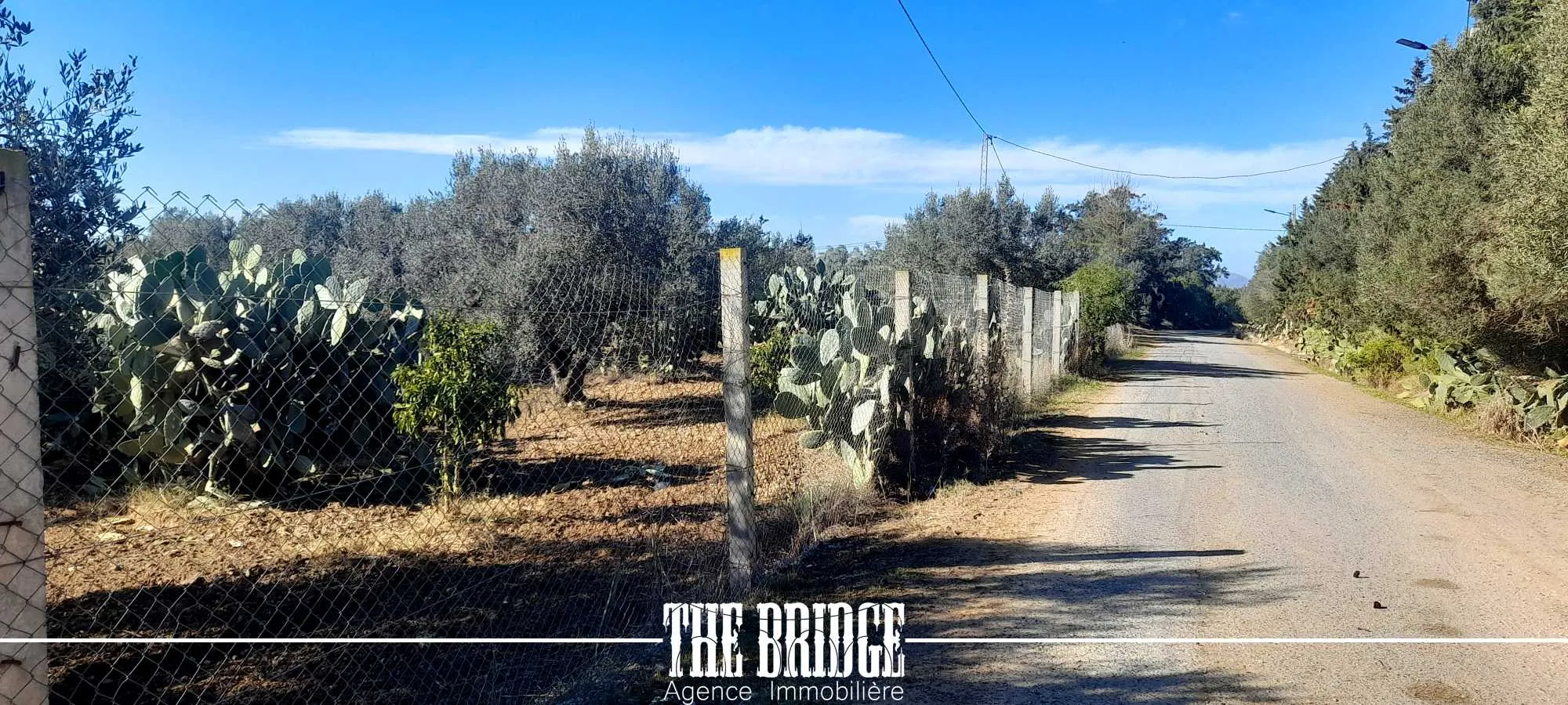 Terrain Agricole de 6 395 m² à Bou Argoub