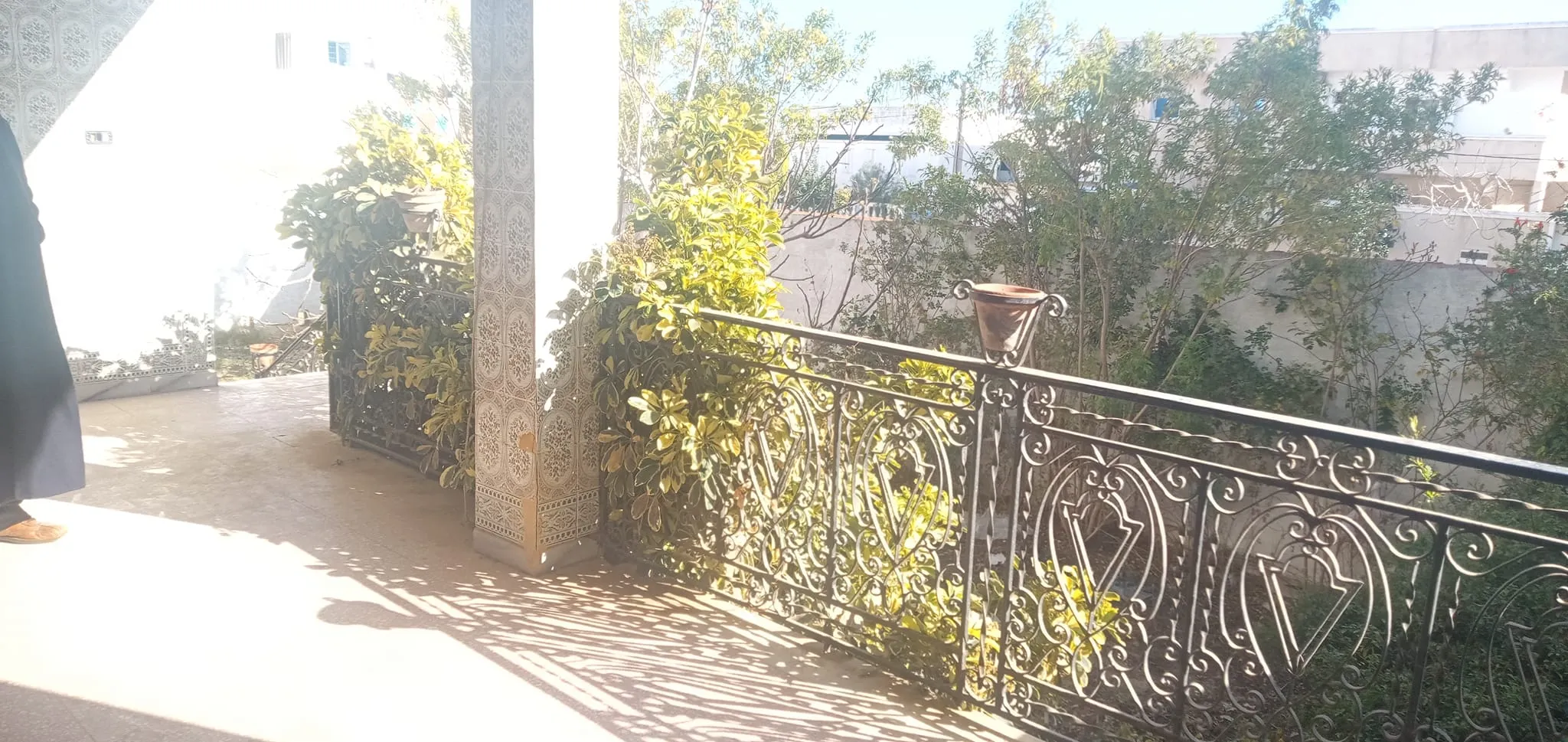 maison a mrezga 300 m