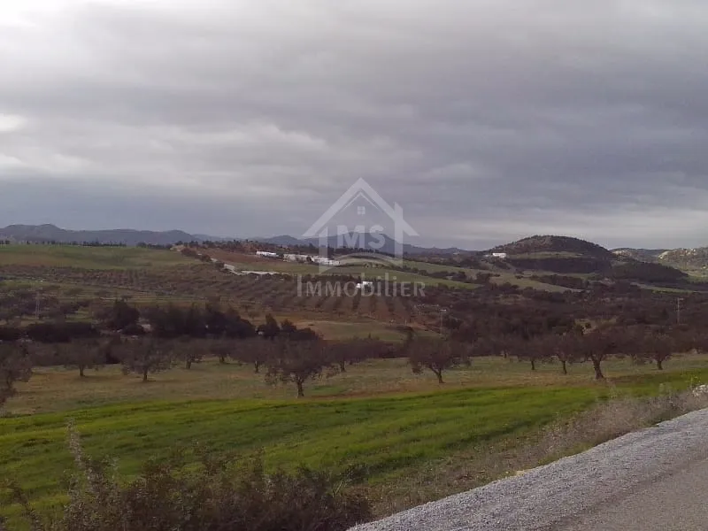 4 hectares ayant une vue de mer à vendre à Hammamet Sud 51355351