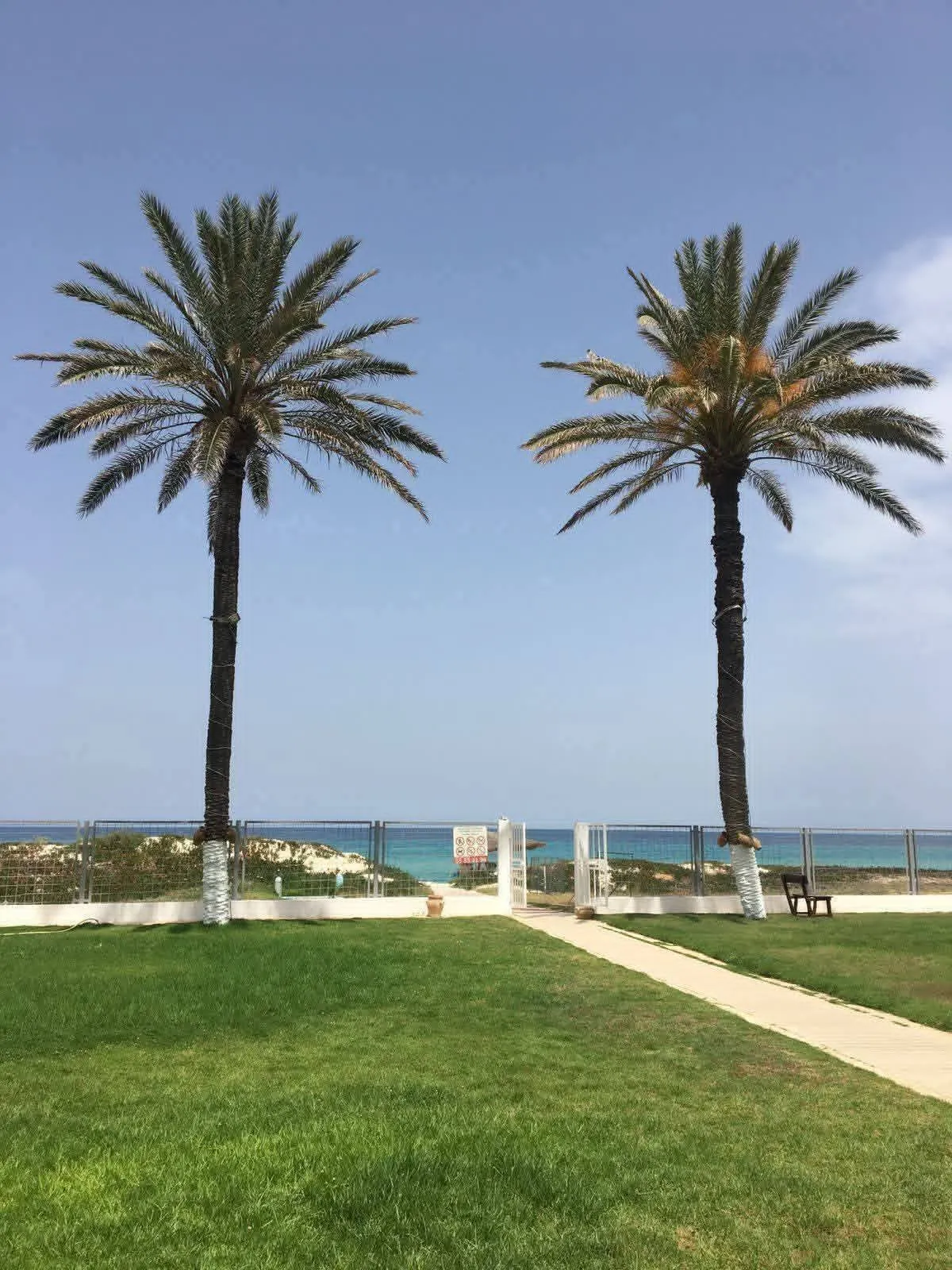  À vendre S+2 pieds dans l’eau – pied dans l'eau  📍 Chatt Mariem