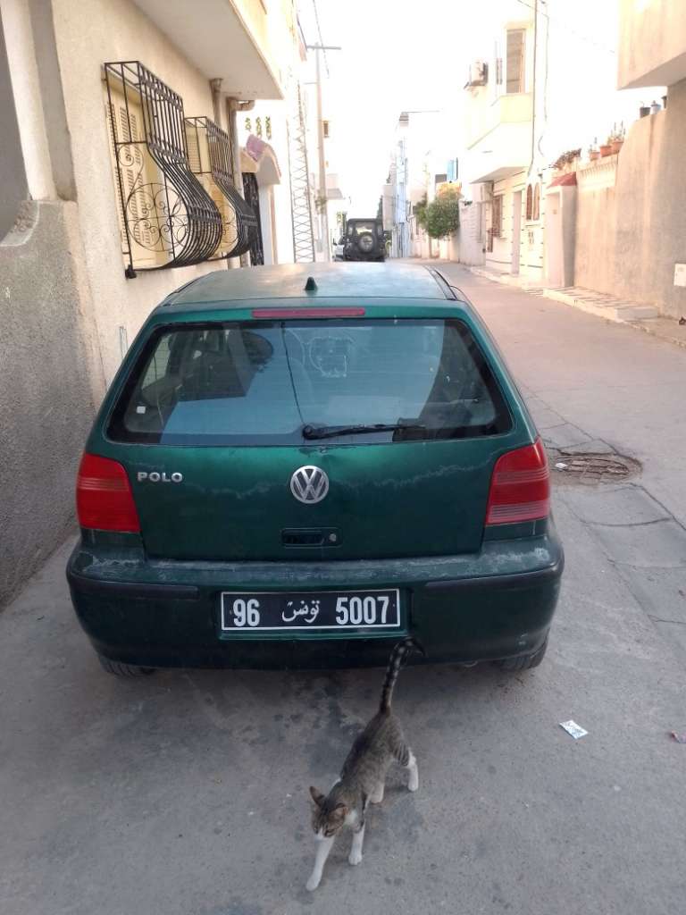 Polo 4 basic