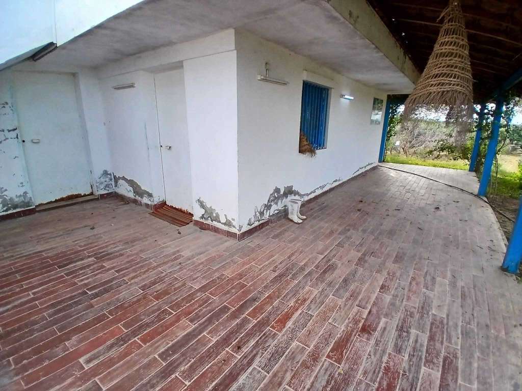 فرصة ذهبية! أرض زراعية كاملة - سيدي بو علي