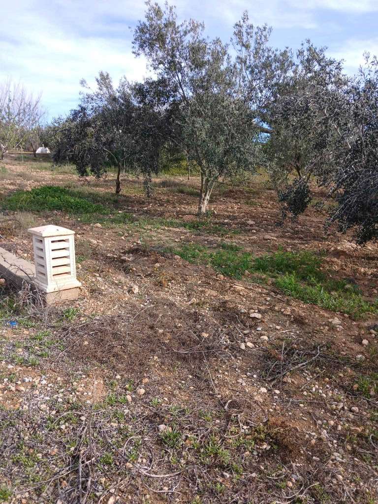 فرصة ذهبية! أرض زراعية كاملة - سيدي بو علي