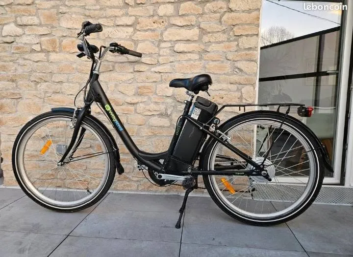 Vélo electrique Waycrol Basy315