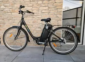 Vélo electrique Waycrol Basy315