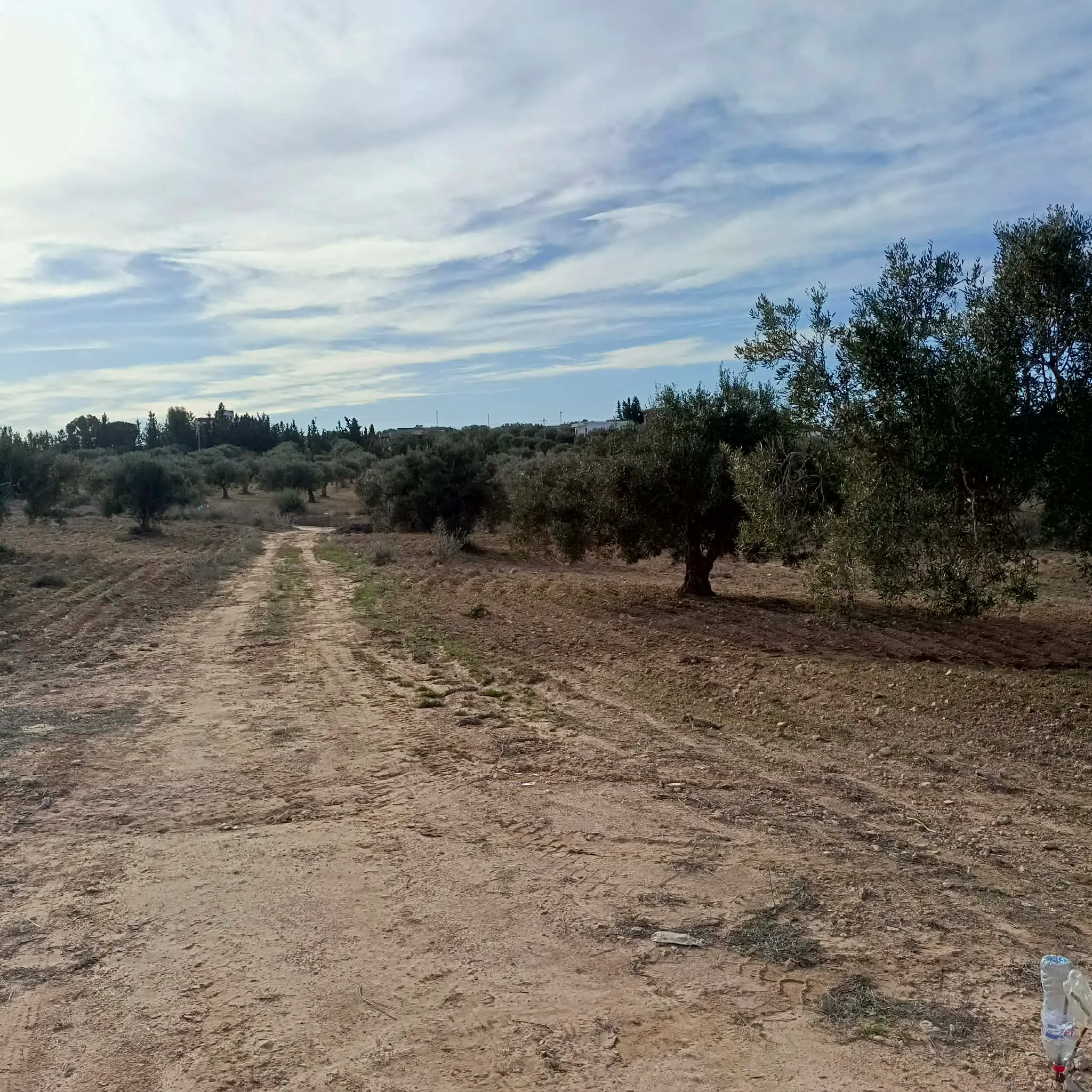 Av beau terrain de 600m proche hammamet yasmine