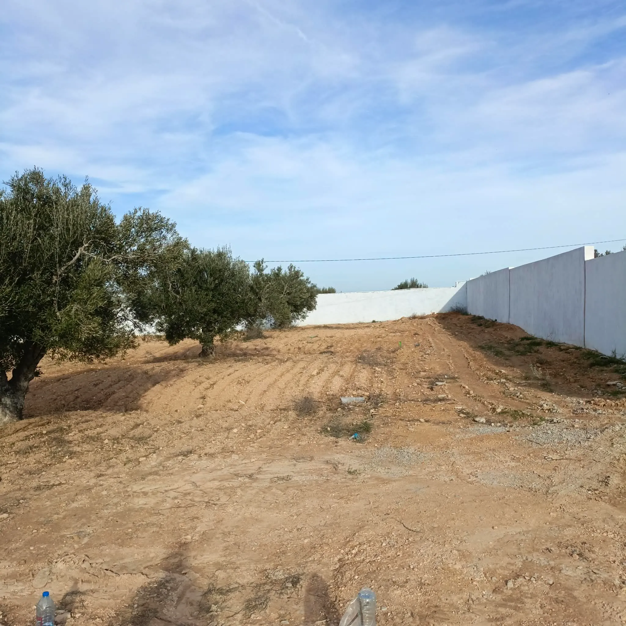 Av beau terrain de 600m proche hammamet yasmine