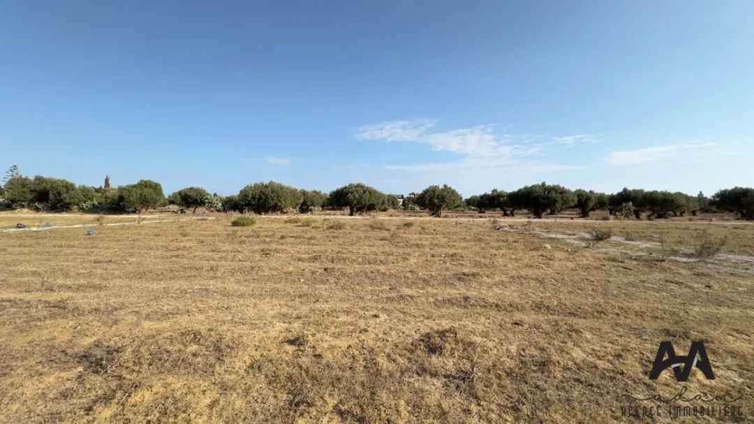 Terrain constructible de 800m² – 3 facades, Degdoug, Nabeul