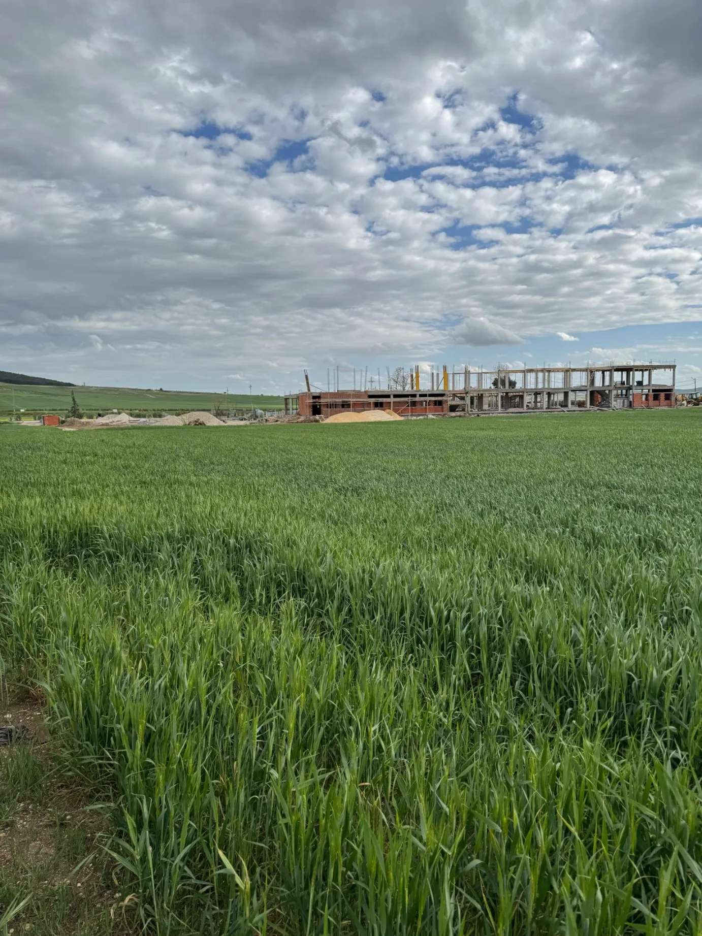 أرض للبيع في برج العيفة مسجلة