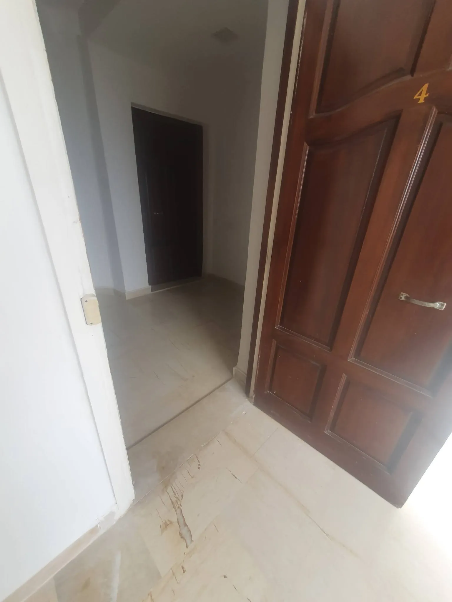 joli appartement s+1 